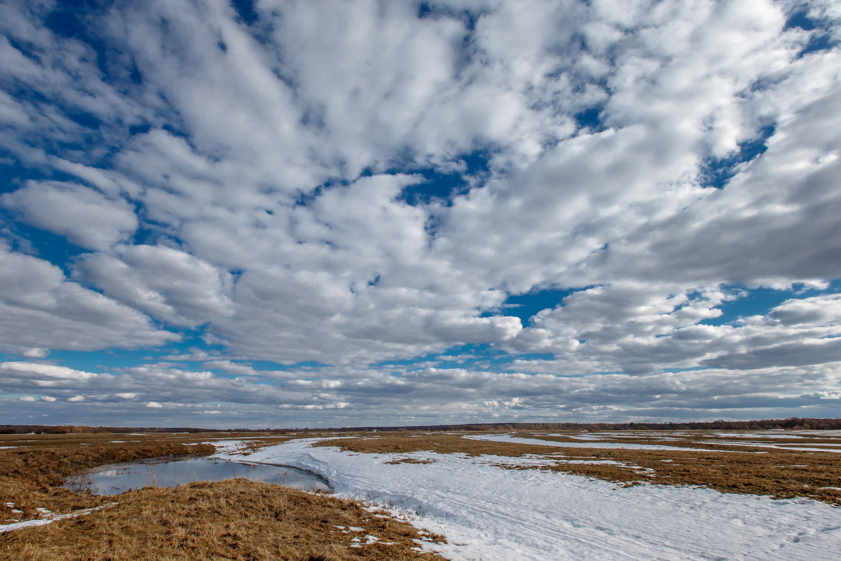 Несколько дней назад этот самый живописный момент наступил; храм Покрова на Нерли купается в лучах солнца, окруженный разгулявшейся рекой. Насладимся его красотами вместе с владимирскими путешественниками.
