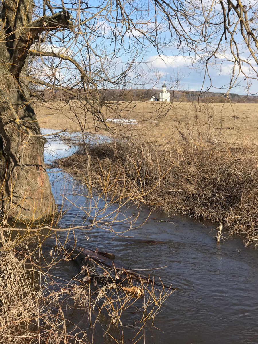 Несколько дней назад этот самый живописный момент наступил; храм Покрова на Нерли купается в лучах солнца, окруженный разгулявшейся рекой. Насладимся его красотами вместе с владимирскими путешественниками.
