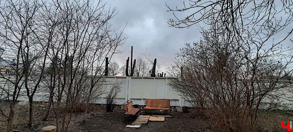 Кронирование, обрезка - полезные для деревьев процедуры. Но только если проводятся они верно. Во Владимире же зеленые насаждения год от года лишь уродуются.