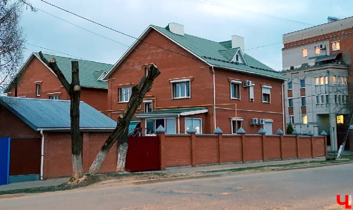 Кронирование, обрезка - полезные для деревьев процедуры. Но только если проводятся они верно. Во Владимире же зеленые насаждения год от года лишь уродуются.