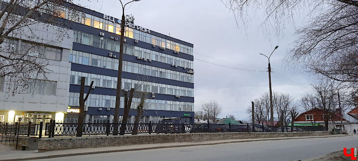 Кронирование, обрезка - полезные для деревьев процедуры. Но только если проводятся они верно. Во Владимире же зеленые насаждения год от года лишь уродуются.