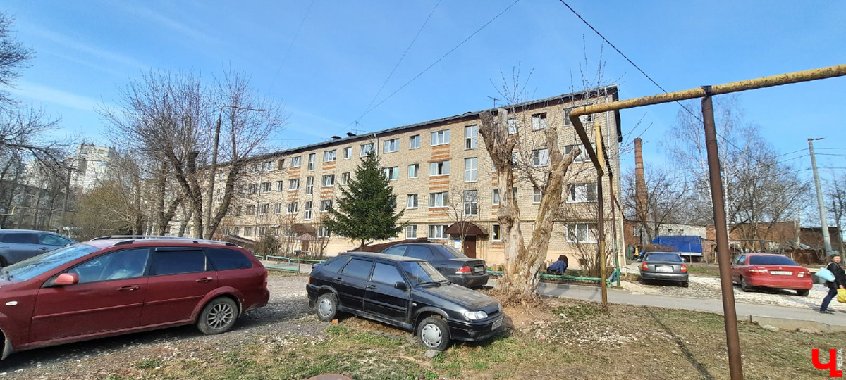 Кронирование, обрезка - полезные для деревьев процедуры. Но только если проводятся они верно. Во Владимире же зеленые насаждения год от года лишь уродуются.