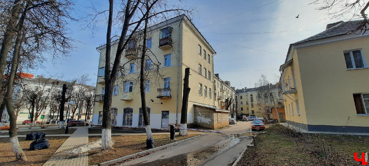 Кронирование, обрезка - полезные для деревьев процедуры. Но только если проводятся они верно. Во Владимире же зеленые насаждения год от года лишь уродуются.