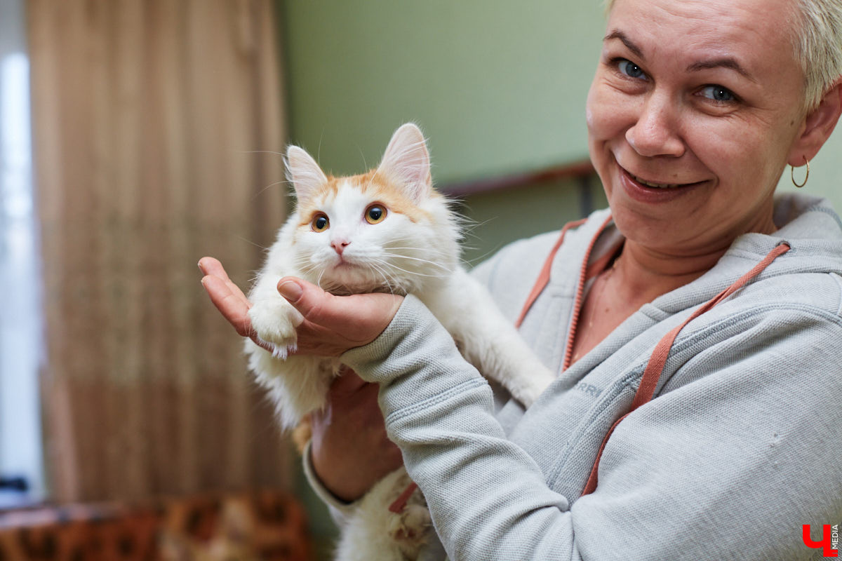 Владимирские волонтеры объединились, чтобы построить просторный частный приют для бездомышей вдали от цивилизации. Туда можно будет приезжать и всей семьей комфортно проводить с животными время.