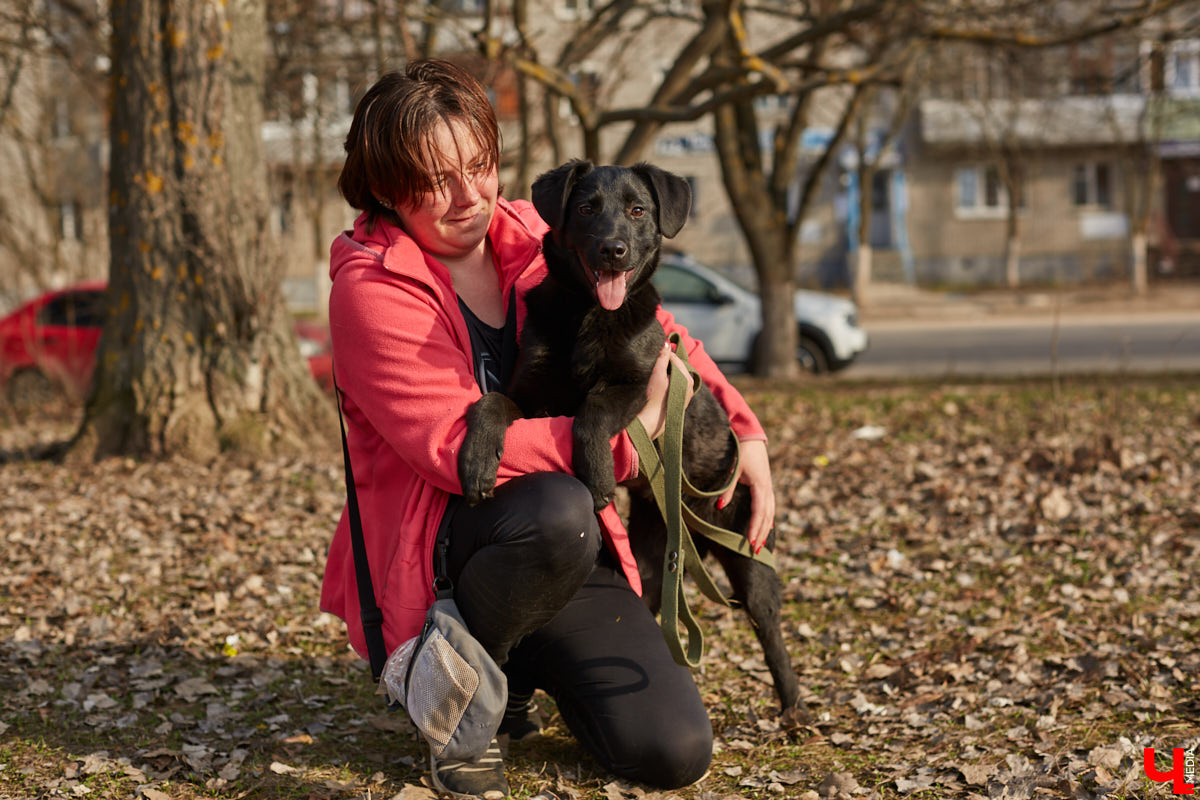 Владимирские волонтеры объединились, чтобы построить просторный частный приют для бездомышей вдали от цивилизации. Туда можно будет приезжать и всей семьей комфортно проводить с животными время.