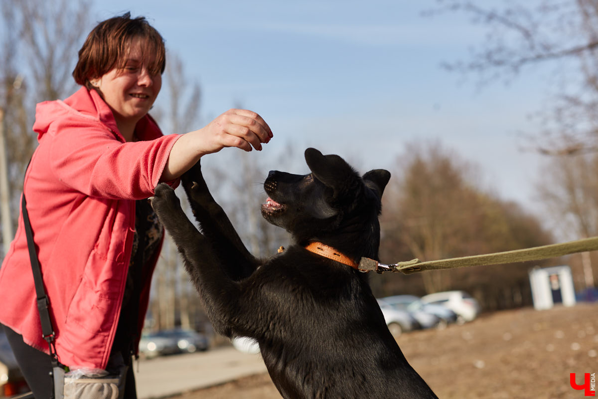 Владимирские волонтеры объединились, чтобы построить просторный частный приют для бездомышей вдали от цивилизации. Туда можно будет приезжать и всей семьей комфортно проводить с животными время.