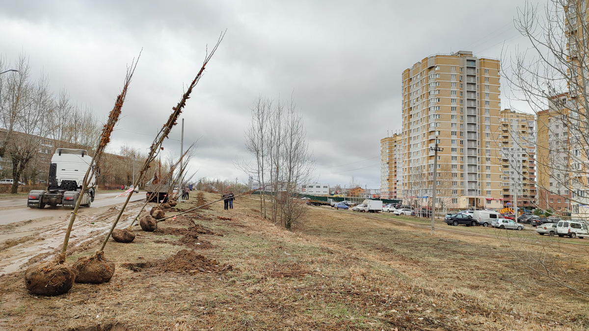 Как в ближайшее время изменится Владимир? Дворец спорта построят, и эскизы фасадов уже показаны. Липы высажены, туи - на подходе. А что еще?