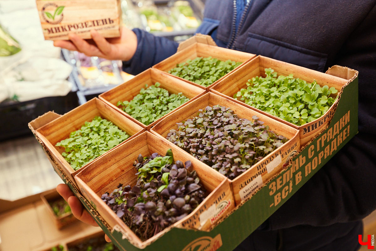 Как замаскировать кабачки со шпинатом и приготовить завтрак для малышей, разбирающихся во вкусной и полезной еде? На этот вопрос узнала ответ многодетная мама — продюсер проектов «Кто здесь?», «#Маминчатик» и «Город добрых», Евгения Королева.