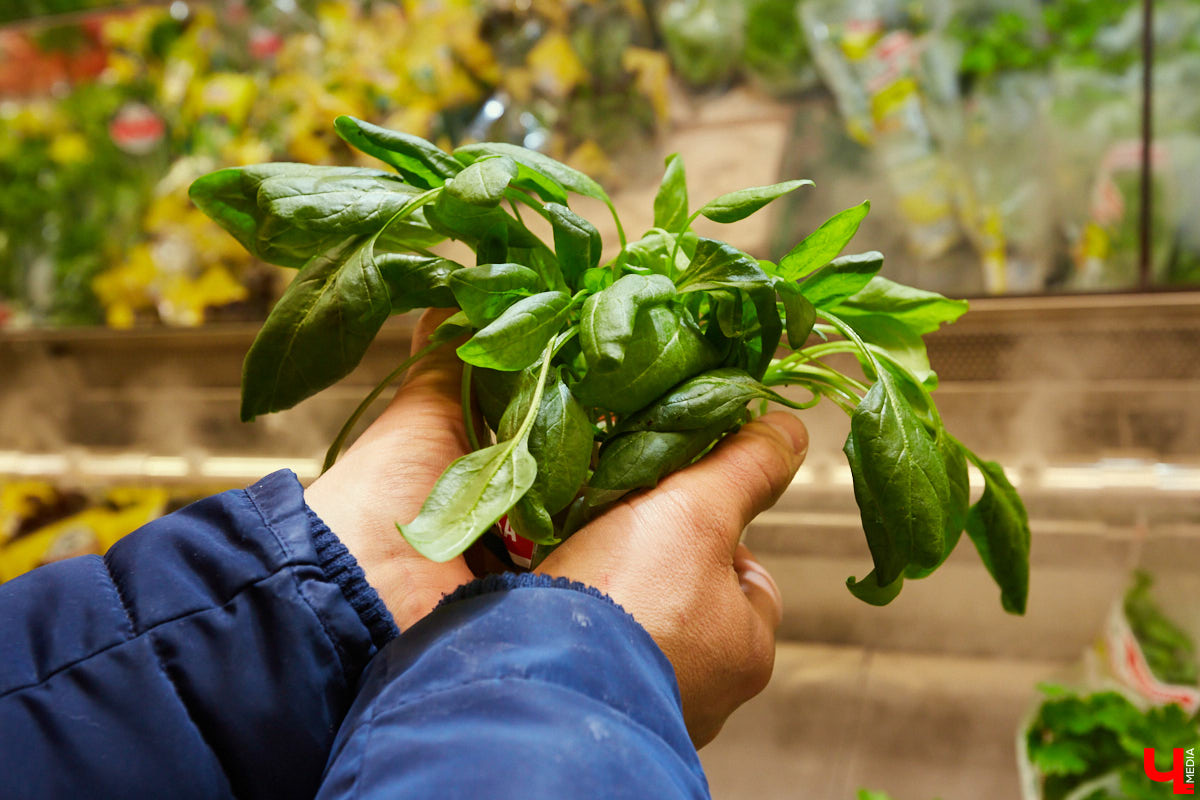 Как замаскировать кабачки со шпинатом и приготовить завтрак для малышей, разбирающихся во вкусной и полезной еде? На этот вопрос узнала ответ многодетная мама — продюсер проектов «Кто здесь?», «#Маминчатик» и «Город добрых», Евгения Королева.