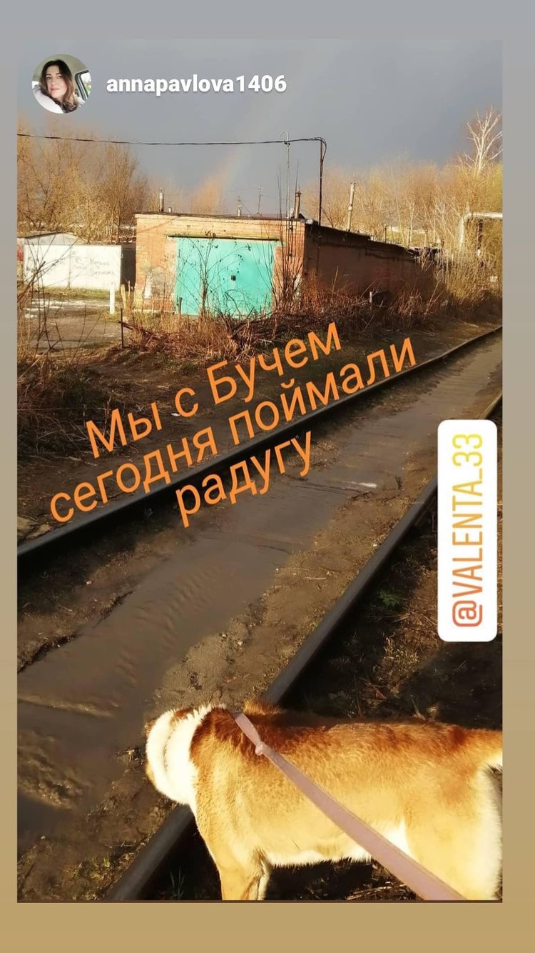 «Пришло время фотографий закатов», — заявили владимирские пользователи Instagram, которые вчера активно делились друг с другом снимками красивейшего неба и первой весенней радуги