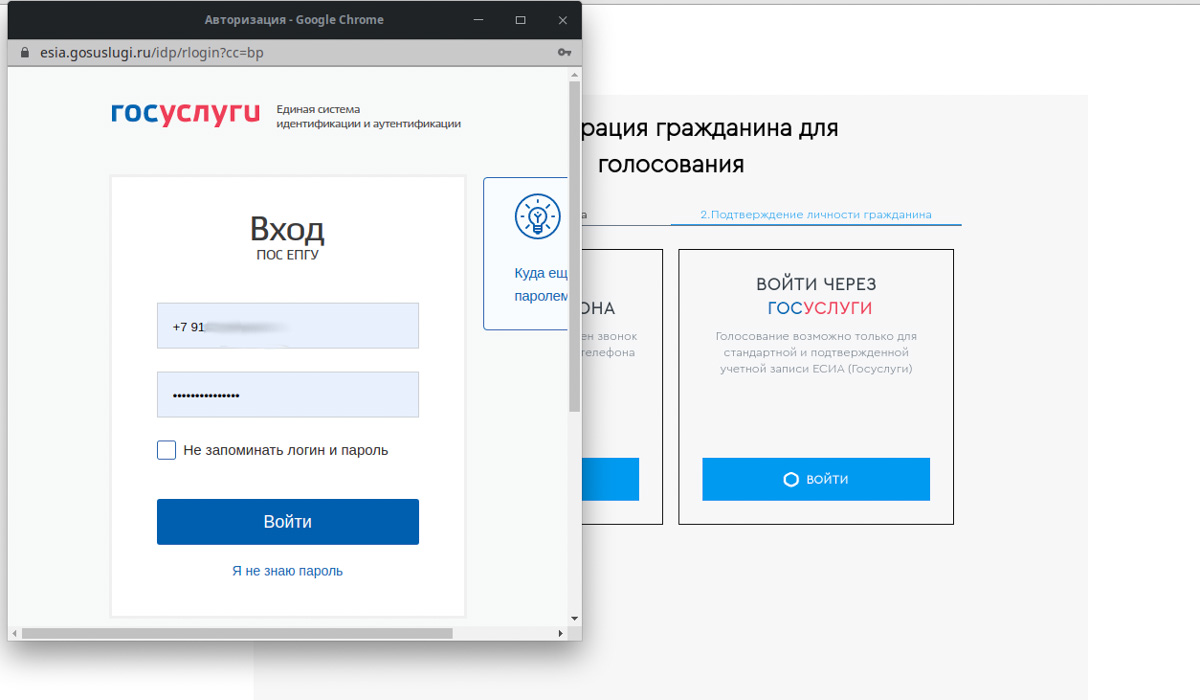 С 26 апреля по 30 мая владимирцы будут выбирать варианты реконструкции парка «Добросельский». Мы уже протестировали новую систему для онлайн-голосования.