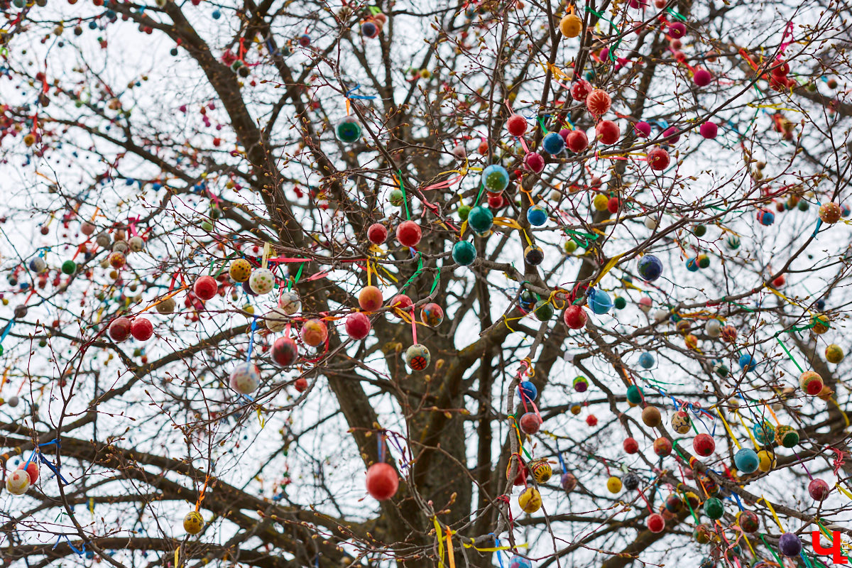 Во Владимире «распустилось» Пасхальное дерево. Поискать среди 20 тысяч деревянных расписных яиц произведения Урганта, Земфиры и Мамонова можно на аллее у Успенского собора.