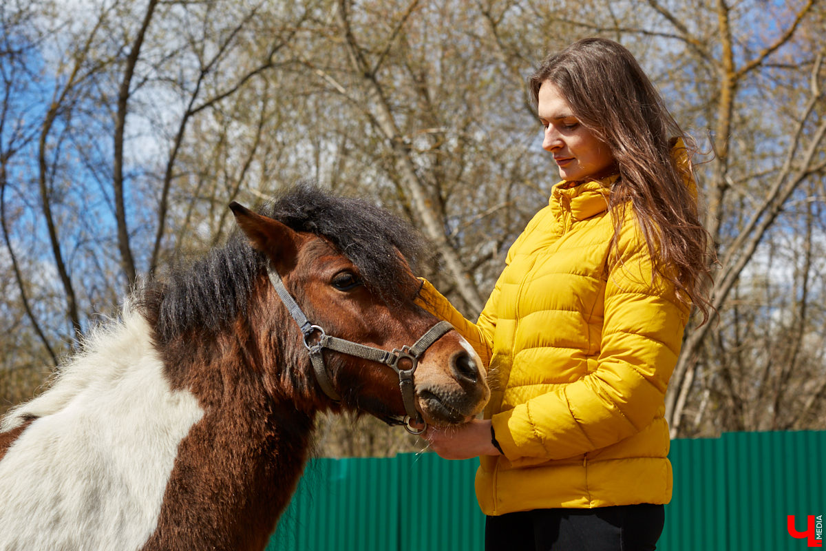 Оказывается, во Владимире живут мини-пони! В России их не так уж и много, а потому мы решили познакомиться с удивительно маленькими лошадками поближе!