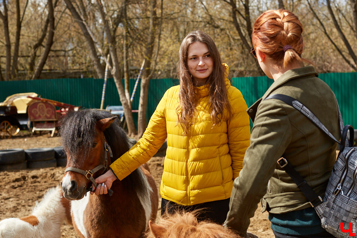 Оказывается, во Владимире живут мини-пони! В России их не так уж и много, а потому мы решили познакомиться с удивительно маленькими лошадками поближе!
