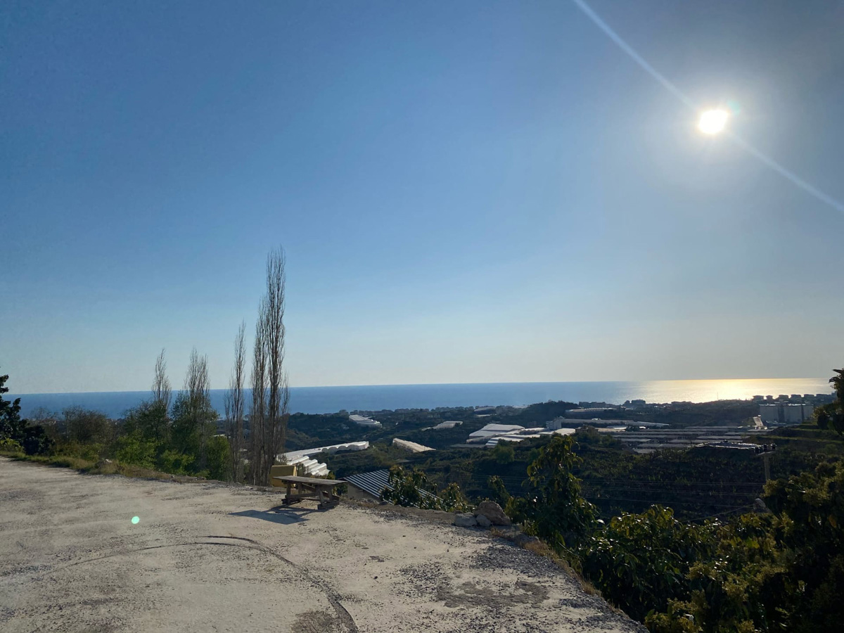 Владимирский фитнес-тренер и нутрициолог Дарья Жичкина полтора месяца назад переехала в солнечную Аланию. Чем она отличается от родного города, Дарья рассказала в интервью «Ключ-Медиа».