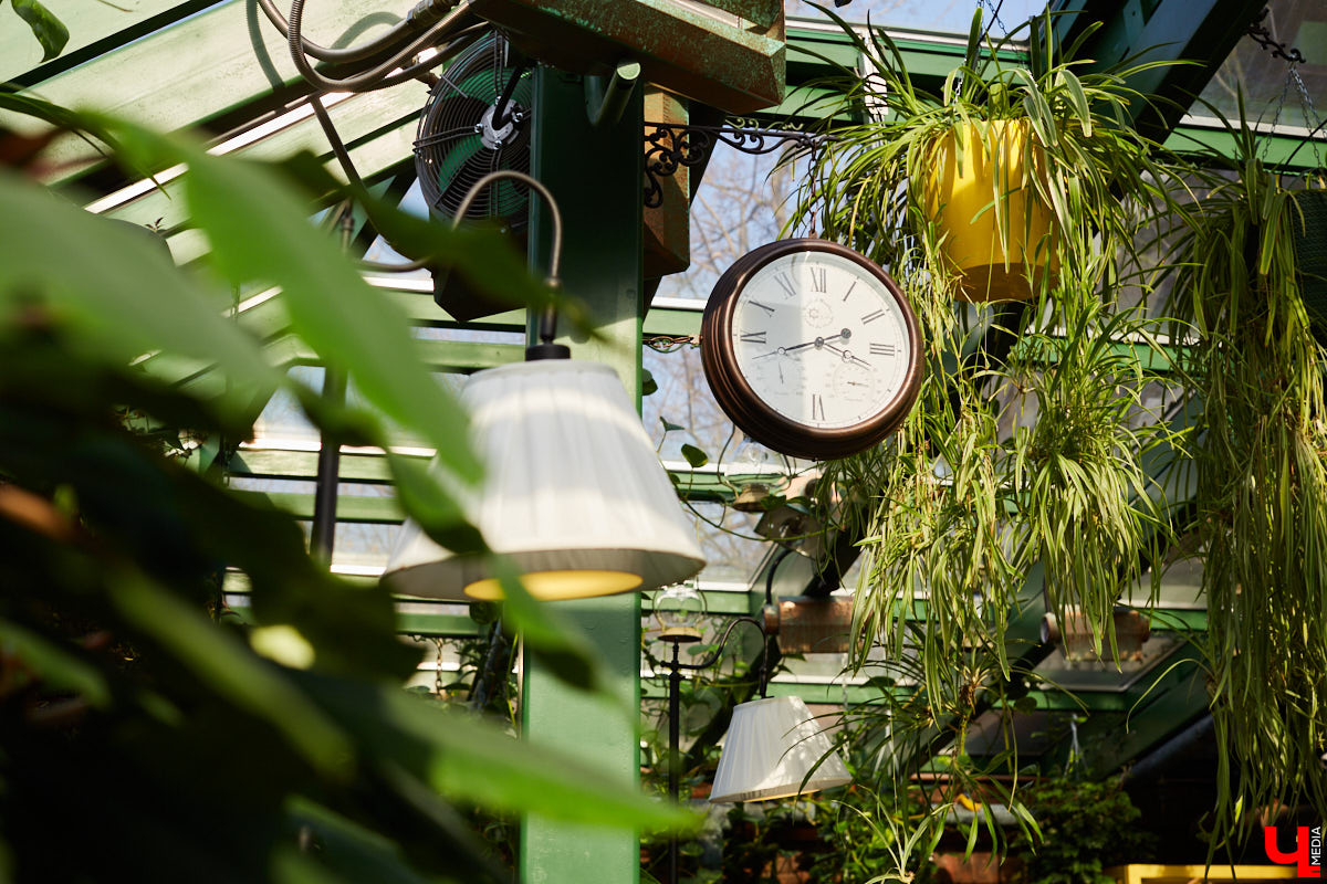 Фото из этих локаций нередко разрывают Директ вопросами в духе: «Где это снято?» Собрали для вас топ владимирских заведений с интересным интерьером.