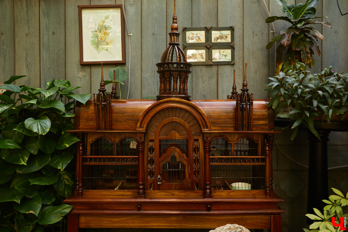 Фото из этих локаций нередко разрывают Директ вопросами в духе: «Где это снято?» Собрали для вас топ владимирских заведений с интересным интерьером.