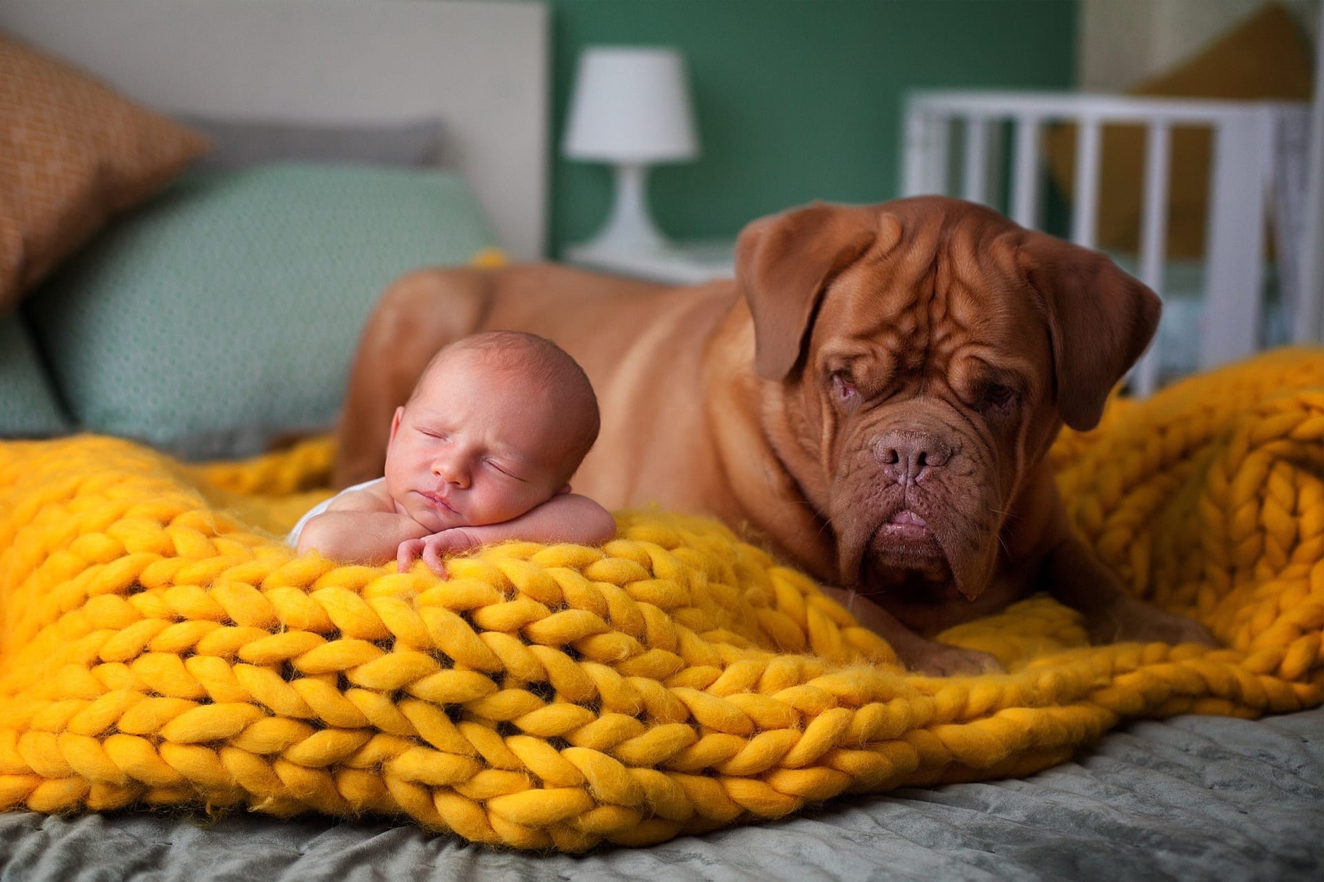 Фотосессии newborn выглядят мило, но сколько труда требуется для создания кадров со спящими ангелочками? Узнаем у владимирского бейби-фотографа, зачем родители заказывают своим крохам съемку и как профессионалы сотрудничают с необычными моделями.