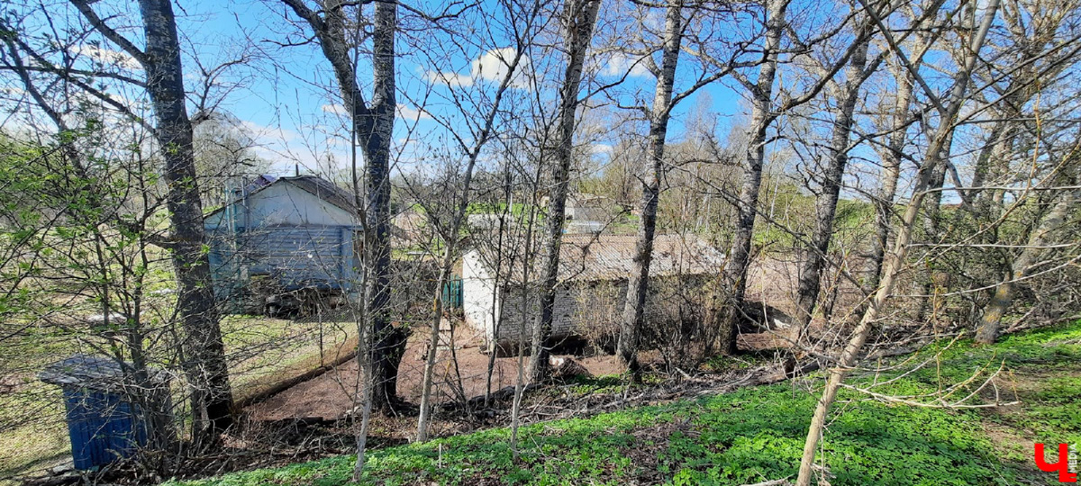 Чудом уцелевшие валы древнего города. А рядом с ними - удивительная заброшенная колокольня. Чем не повод совершить сталкерскую вылазку в Городище?