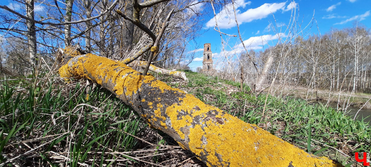 Чудом уцелевшие валы древнего города. А рядом с ними - удивительная заброшенная колокольня. Чем не повод совершить сталкерскую вылазку в Городище?