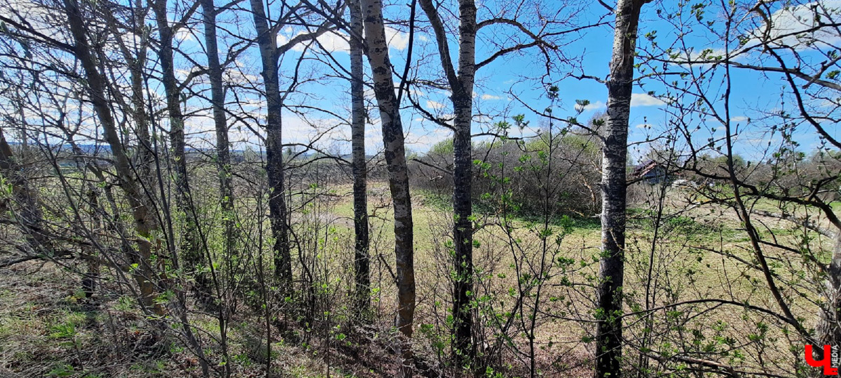 Чудом уцелевшие валы древнего города. А рядом с ними - удивительная заброшенная колокольня. Чем не повод совершить сталкерскую вылазку в Городище?