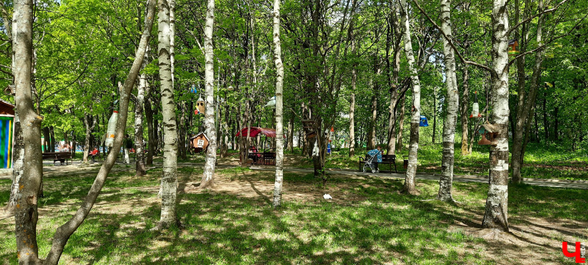 Где во Владимире еще сохранились беседки? Собрали для вас минимум 7 вариантов.