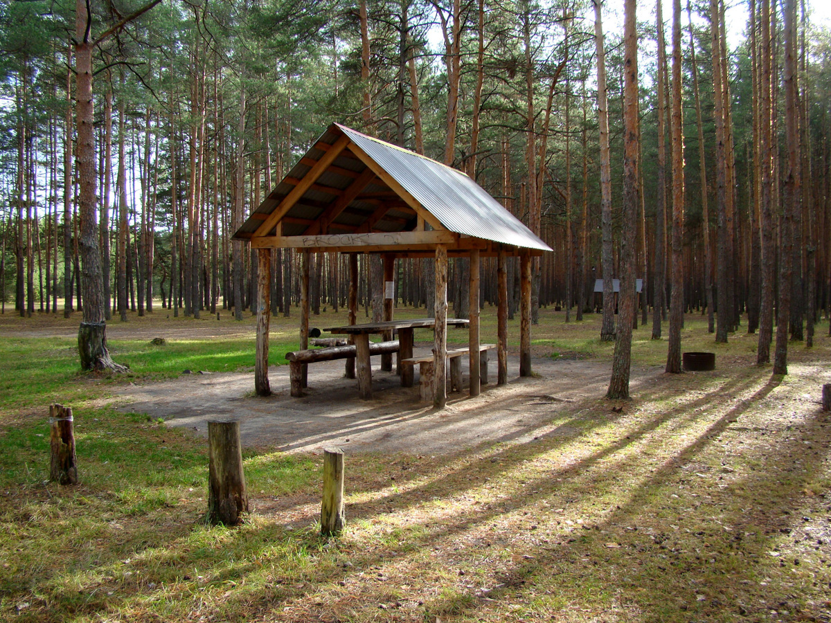 Где во Владимире еще сохранились беседки? Собрали для вас минимум 7 вариантов.