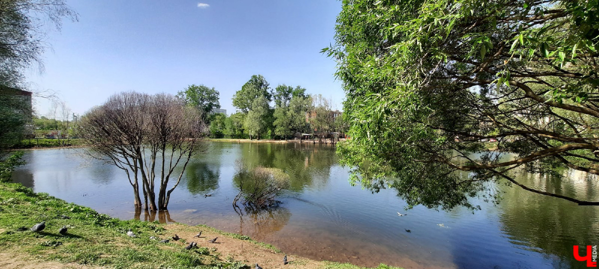 Где во Владимире еще сохранились беседки? Собрали для вас минимум 7 вариантов.