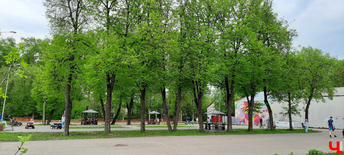 Где во Владимире еще сохранились беседки? Собрали для вас минимум 7 вариантов.