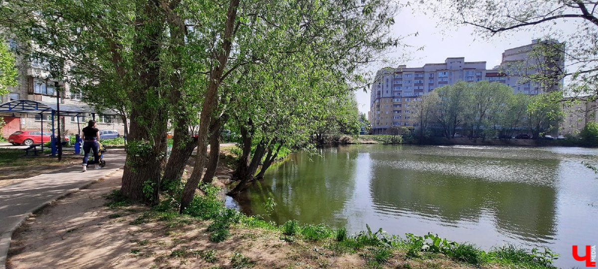 Где во Владимире еще сохранились беседки? Собрали для вас минимум 7 вариантов.