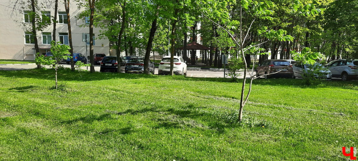 Где во Владимире еще сохранились беседки? Собрали для вас минимум 7 вариантов.