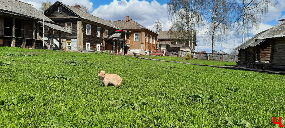 Мышкин: такой, какой есть. Зачем ехать из Владимира в маленький городок-музей на Волге?