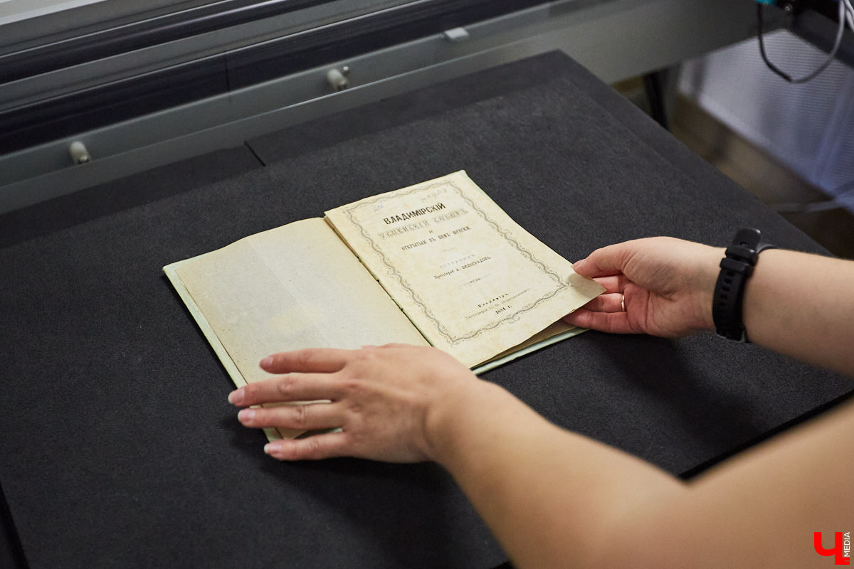 Библиотекари не те, кем кажутся. Изучаем удивительный мир владимирской Областной и все, что скрыто от обычных читателей.