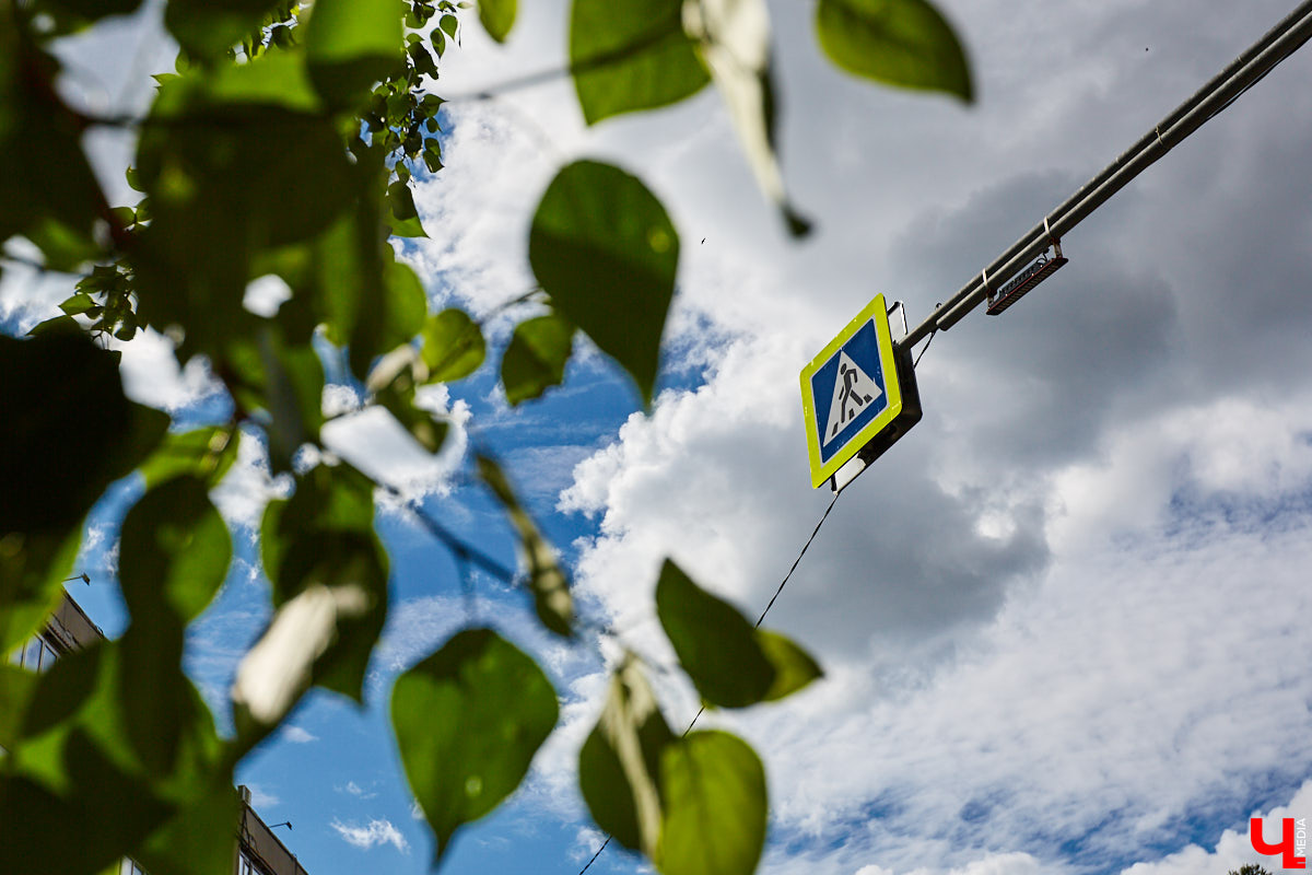 Кто в приоритете: водители или пешеходы? Вопрос обостряется, когда на горизонте маячит «зебра». Попробовали изучить видовое разнообразие владимирских переходов.