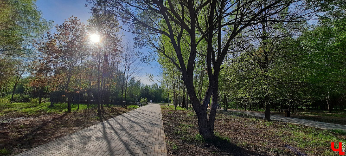 Планы на 2022-й год составлены. Владимирцы выбрали вариант дальнейшей реновации парка «Добросельский».