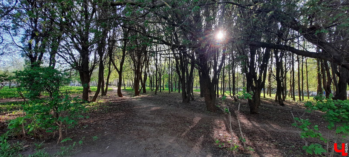 Планы на 2022-й год составлены. Владимирцы выбрали вариант дальнейшей реновации парка «Добросельский».