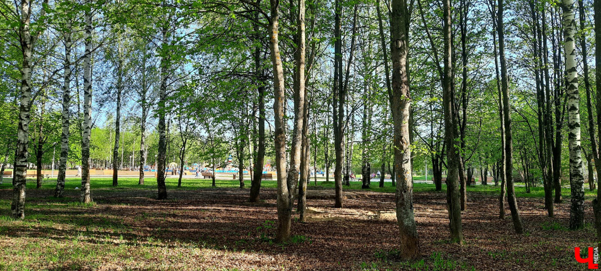 Планы на 2022-й год составлены. Владимирцы выбрали вариант дальнейшей реновации парка «Добросельский».