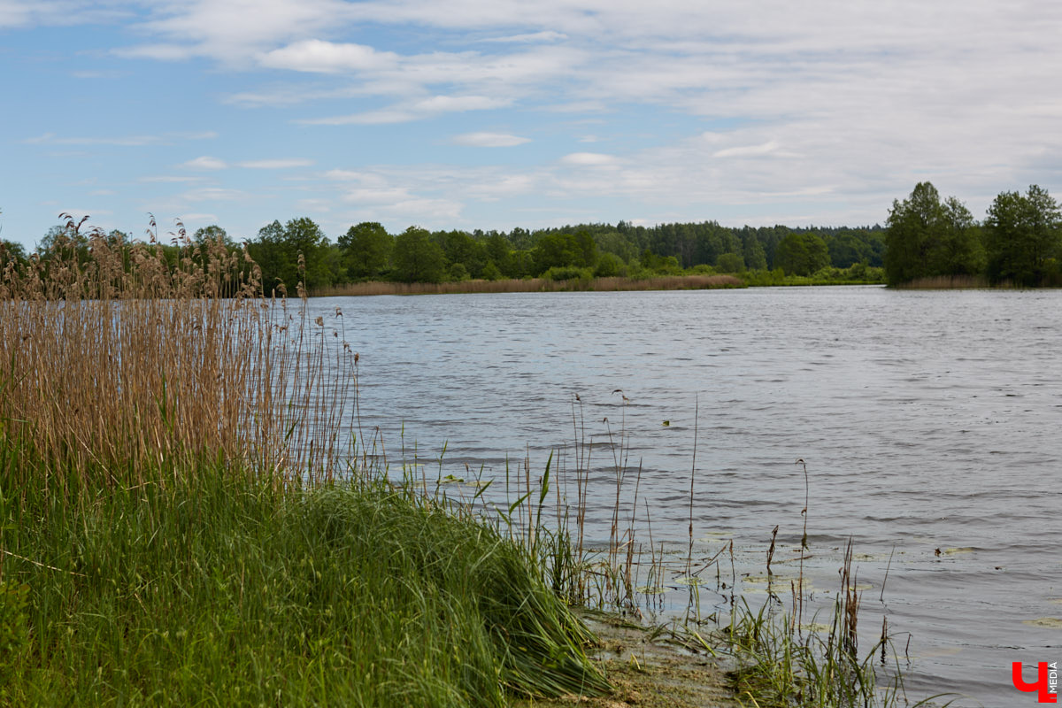 5 июня в «ВеЛесе» отлично отметили Всемирный день окружающей среды — провели фестиваль «Чистое озеро». Начали с субботника на берегу Запольского, закончили BBQ-вечеринкой.