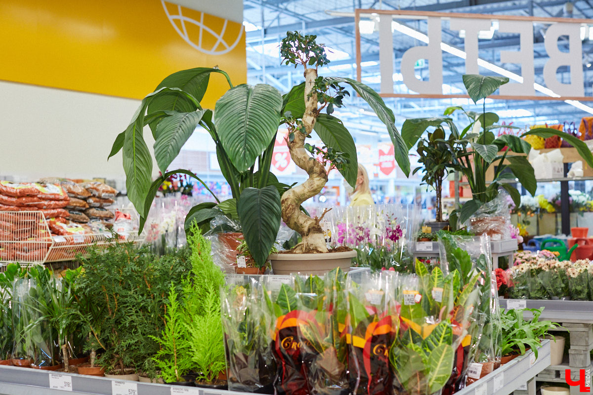 Екатерина Гуцаленко давно мечтала узнать классический вкус десерта «Павлова», а оказалась участником кулинарного эксперимента.