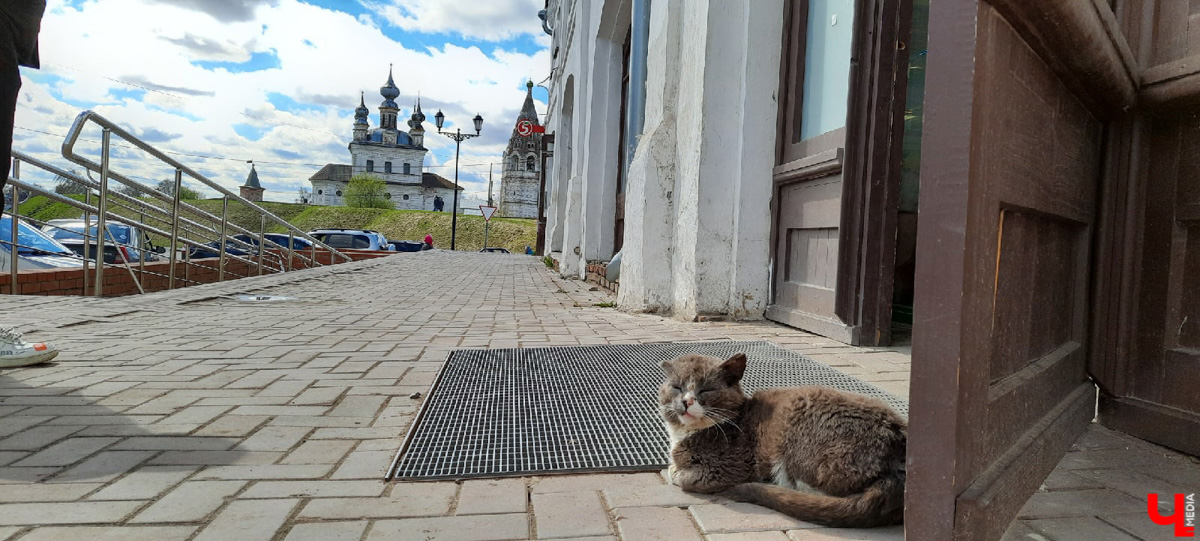 Чем занять выходной? Например, можно отправиться в Юрьев-Польский. У нас под боком стоит древний и интересный город, стоит там побывать!