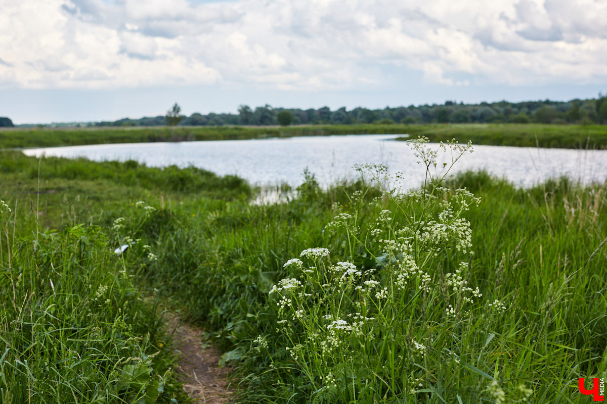 Во Владимире нет набережной, но есть места, которые хотя бы частично могли восполнить дефицит. Составили список локаций для отдыха у воды.