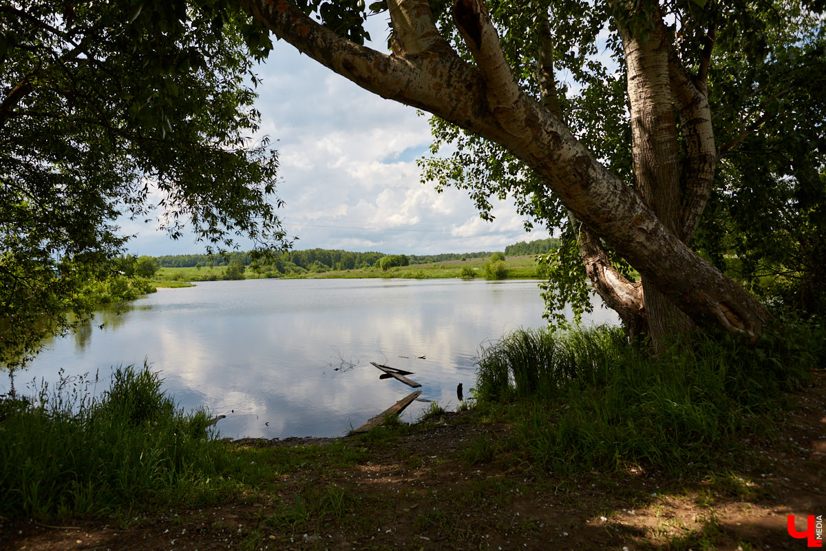 Во Владимире нет набережной, но есть места, которые хотя бы частично могли восполнить дефицит. Составили список локаций для отдыха у воды.