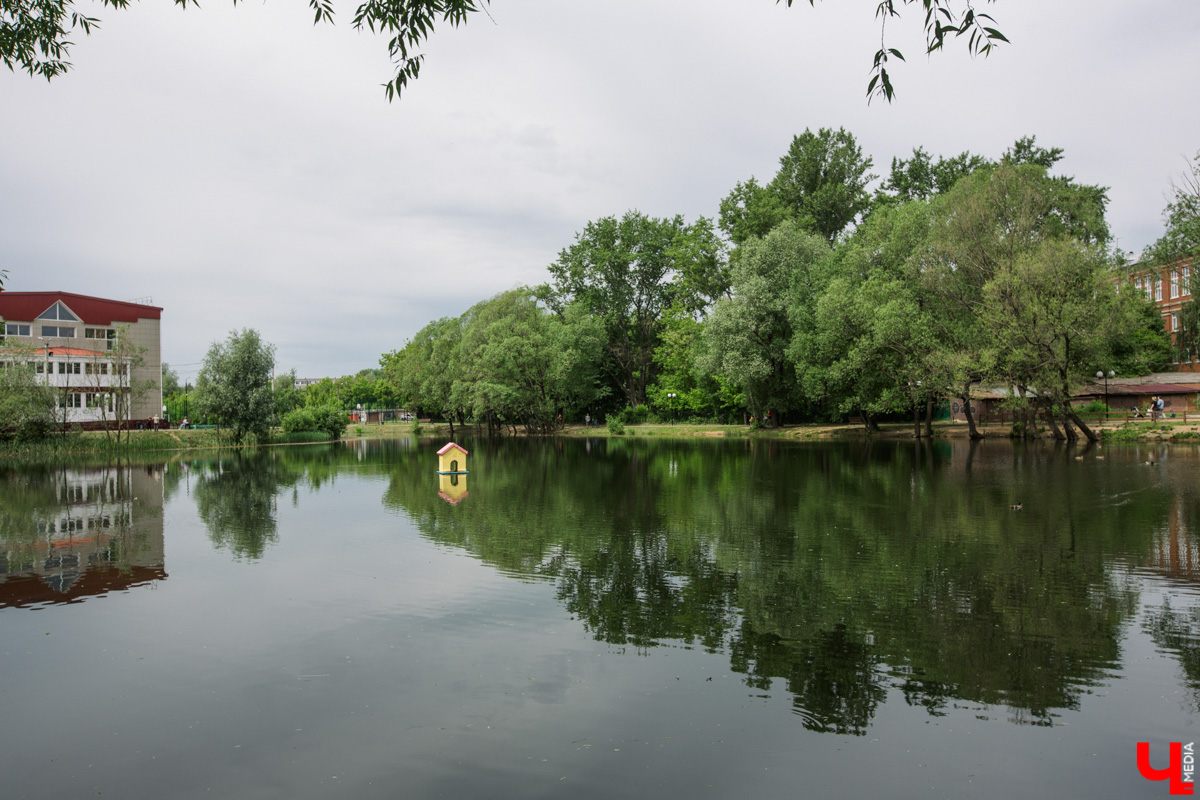 Во Владимире нет набережной, но есть места, которые хотя бы частично могли восполнить дефицит. Составили список локаций для отдыха у воды.