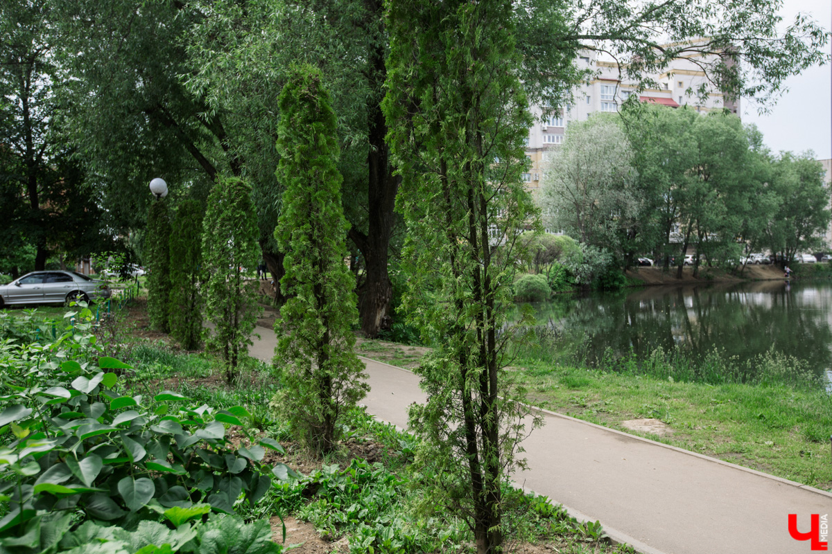 Во Владимире нет набережной, но есть места, которые хотя бы частично могли восполнить дефицит. Составили список локаций для отдыха у воды.