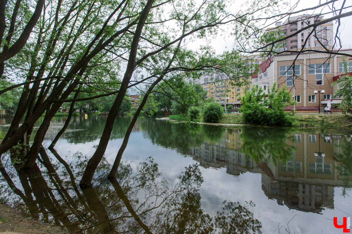 Во Владимире нет набережной, но есть места, которые хотя бы частично могли восполнить дефицит. Составили список локаций для отдыха у воды.