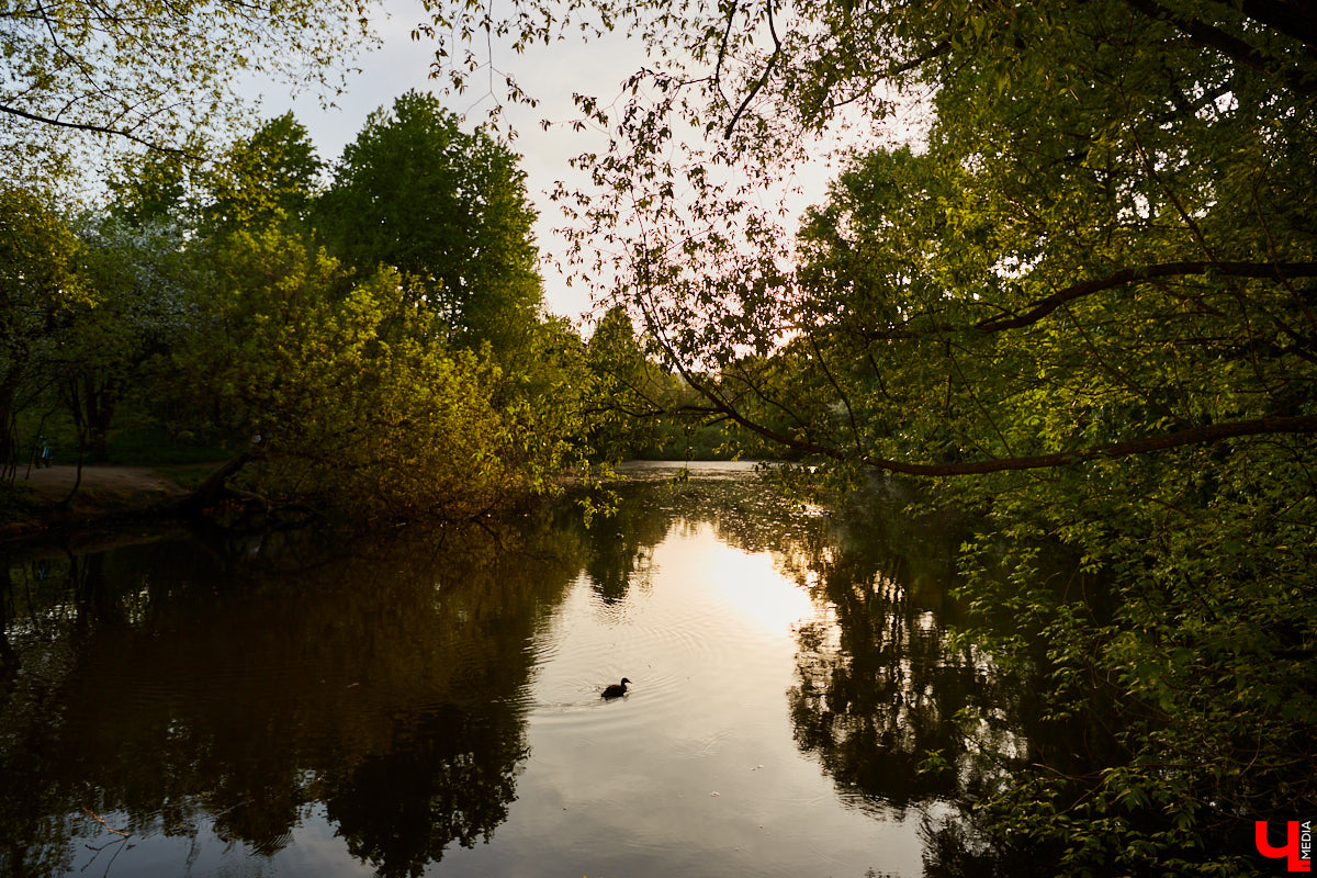 Во Владимире нет набережной, но есть места, которые хотя бы частично могли восполнить дефицит. Составили список локаций для отдыха у воды.