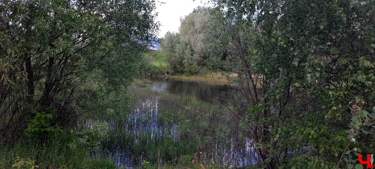 Во Владимире нет набережной, но есть места, которые хотя бы частично могли восполнить дефицит. Составили список локаций для отдыха у воды.