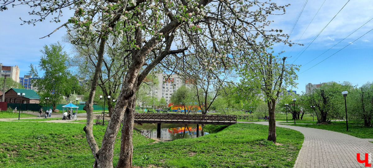 Во Владимире нет набережной, но есть места, которые хотя бы частично могли восполнить дефицит. Составили список локаций для отдыха у воды.