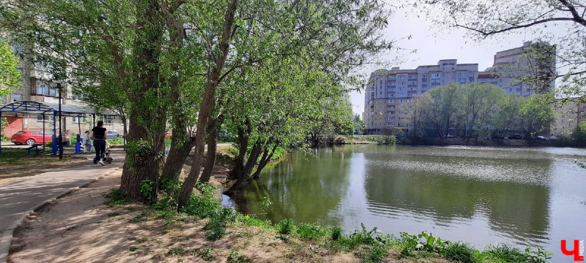 Во Владимире нет набережной, но есть места, которые хотя бы частично могли восполнить дефицит. Составили список локаций для отдыха у воды.