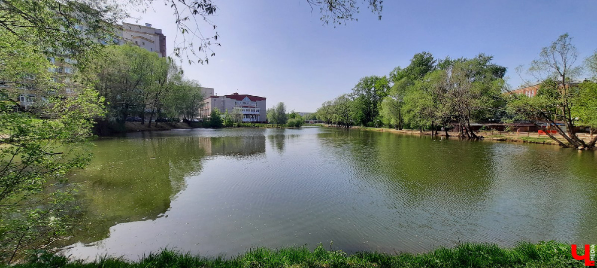 Во Владимире нет набережной, но есть места, которые хотя бы частично могли восполнить дефицит. Составили список локаций для отдыха у воды.